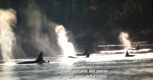 BlackFish